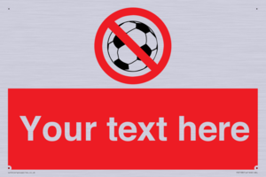 Custom No Ball Games Sign